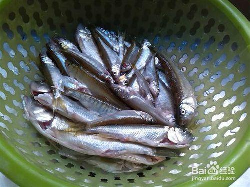 网红吃瓜网址小鱼