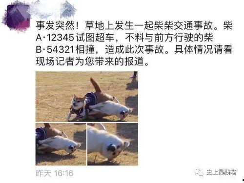 网红吃瓜百万富二代,揭秘娱乐圈幕后真相